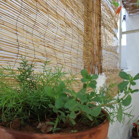 Vila Mantra1 Sozopoli Exteriér fotografie